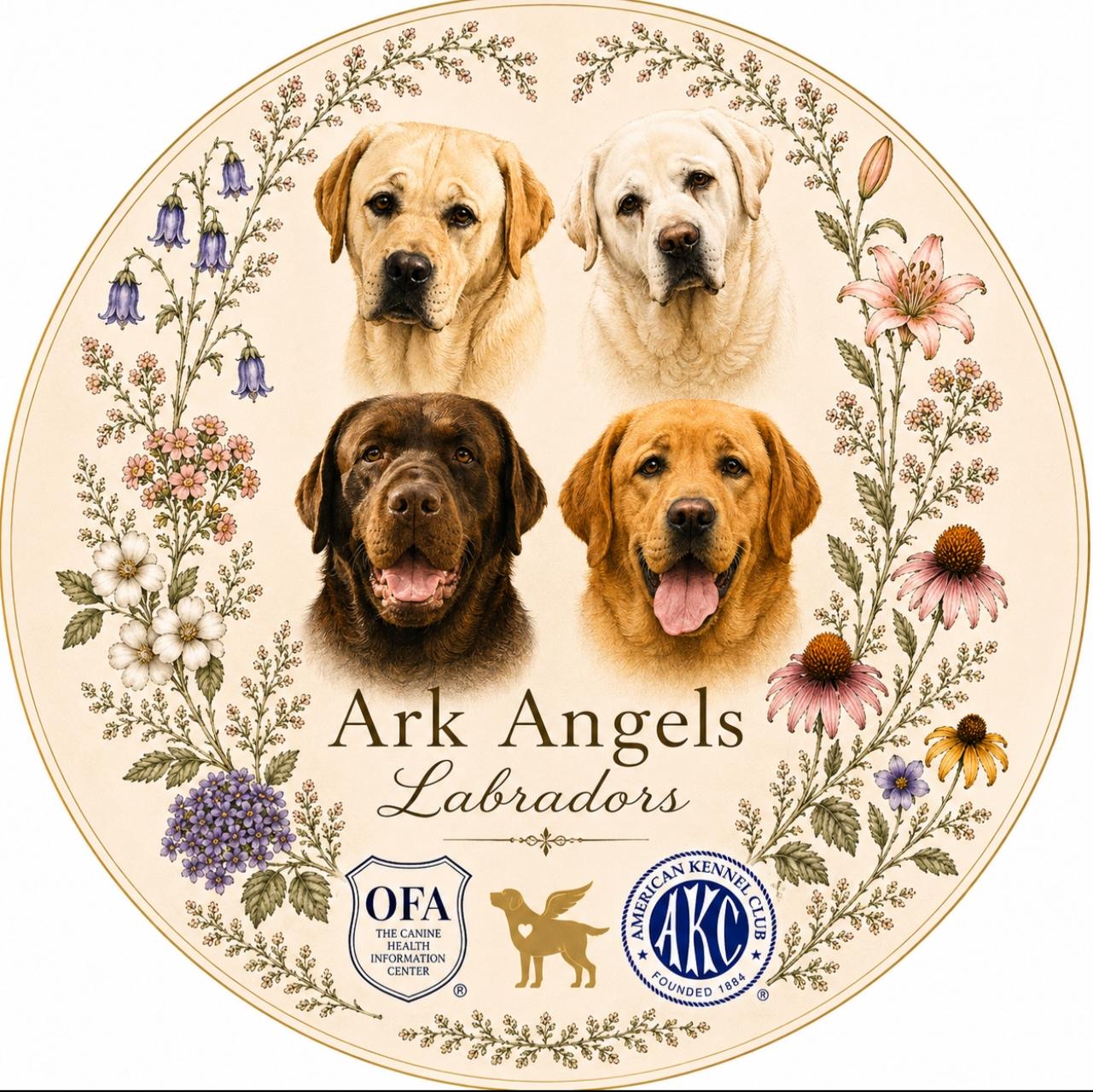 Ark Angel Labradors crest